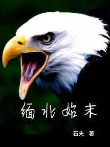 缅北视频网址www