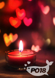 渣了反派之后我哭了